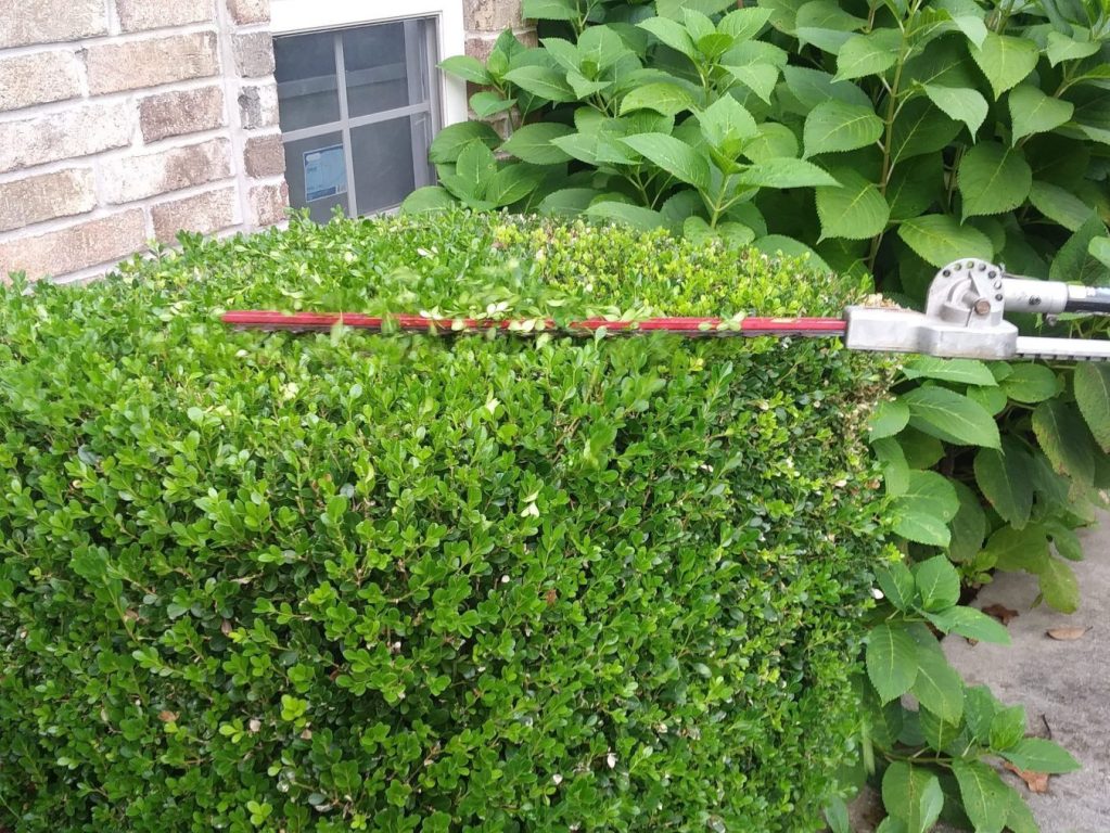 shrub trimming, add to any lawn care service package