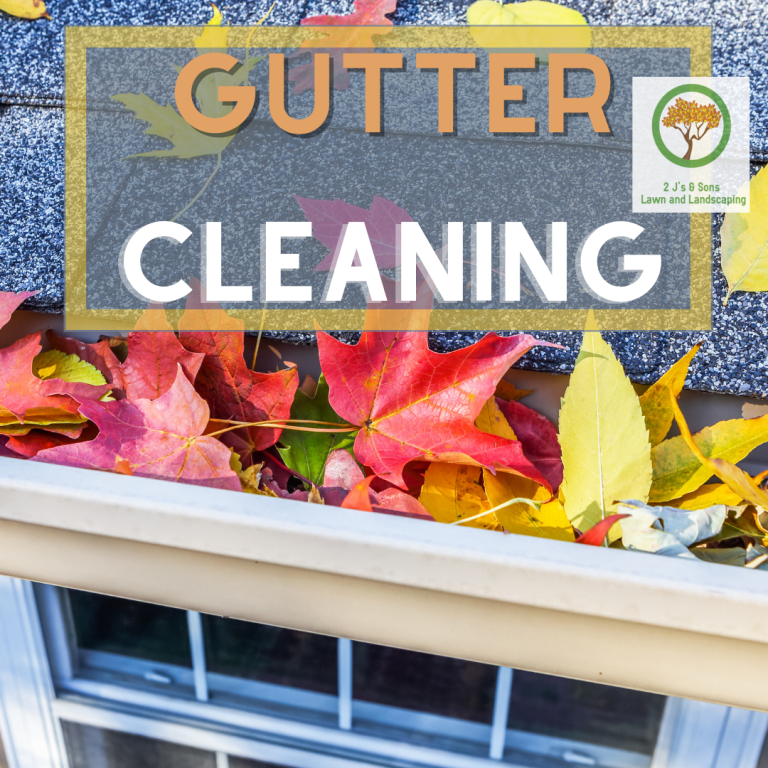 gutter cleaning service