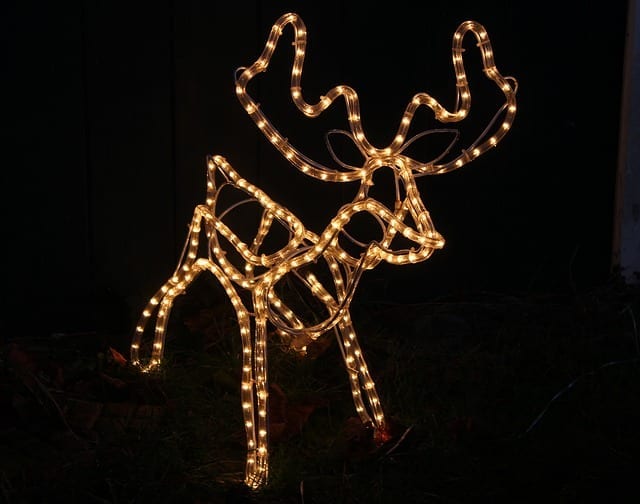 christmas-light-reindeer