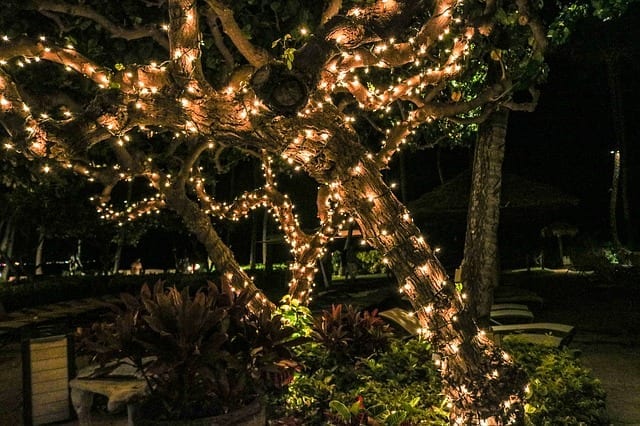 Holiday lighting installation service. Christmas-lights-on-tree