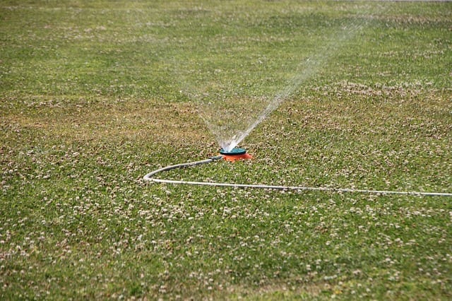  watering grass with sprinkler
