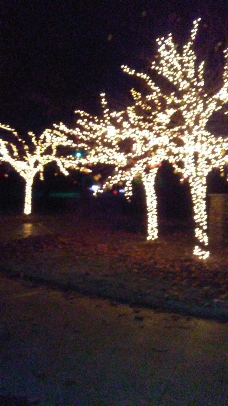 Holiday Lite trees