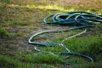 keep hoses and other items in your yard picked up for a more dog friendly lawn