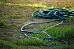 keep hoses and other items in your yard picked up for a more dog friendly lawn