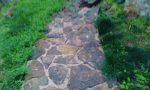 plan your landscaping with your dog in mind. Hardscaping the paths your pet likes to walk will help save the grass.