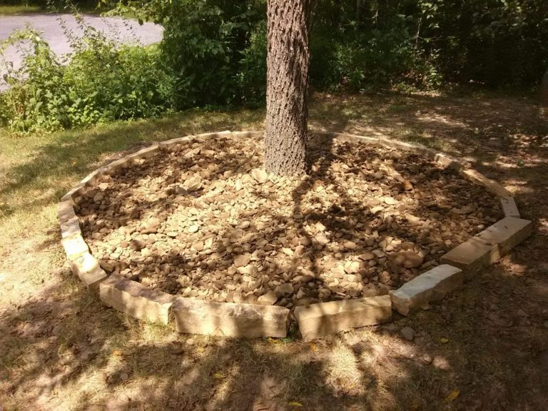 cut stone border around tree