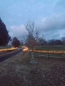 Christmas Lite driveway