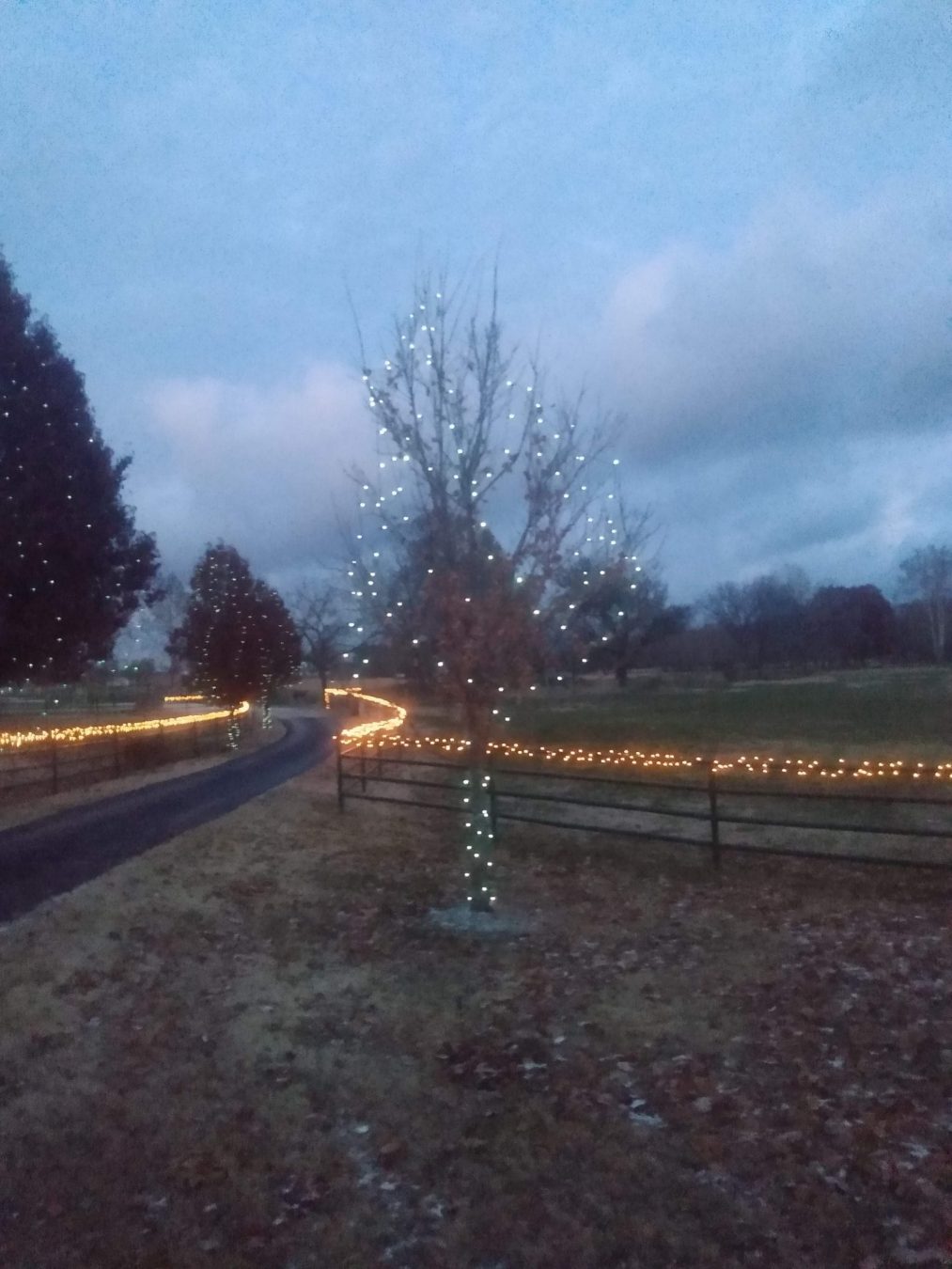 Christmas driveway Lighting 