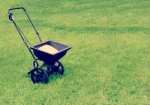 lawn maintenance service, spring lawn clean-up service
