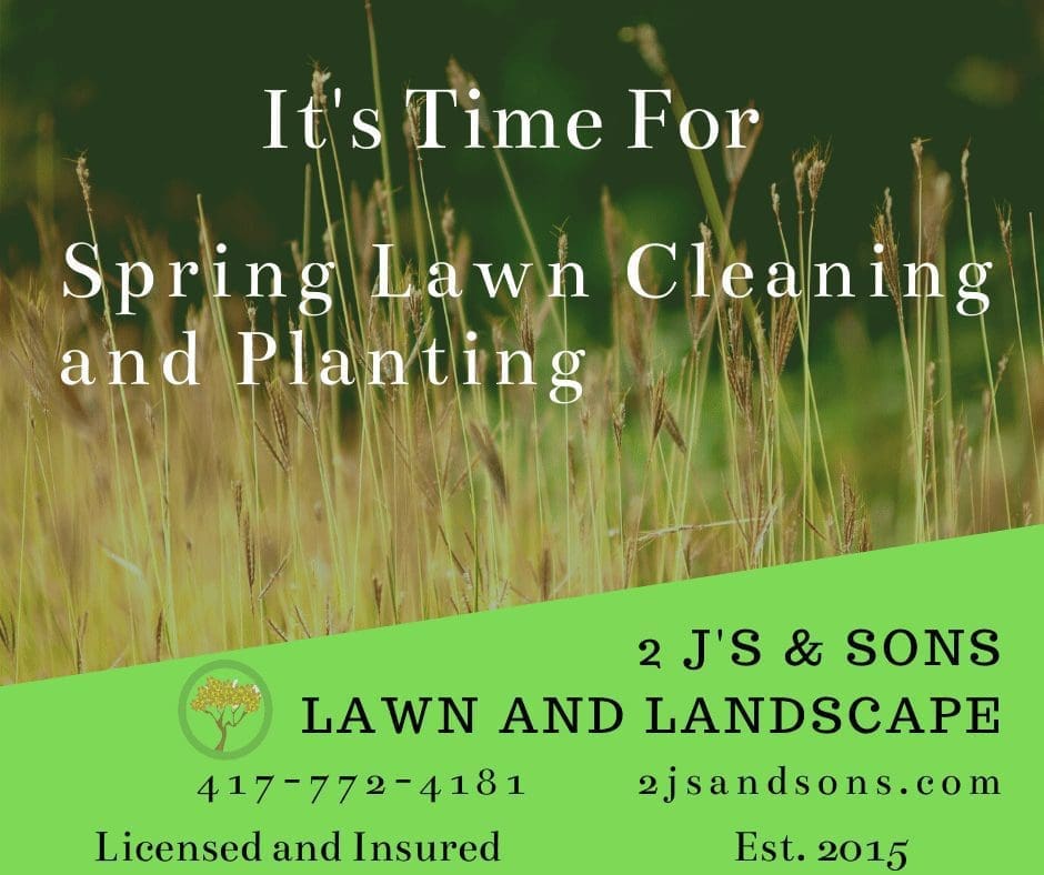 spring lawn care