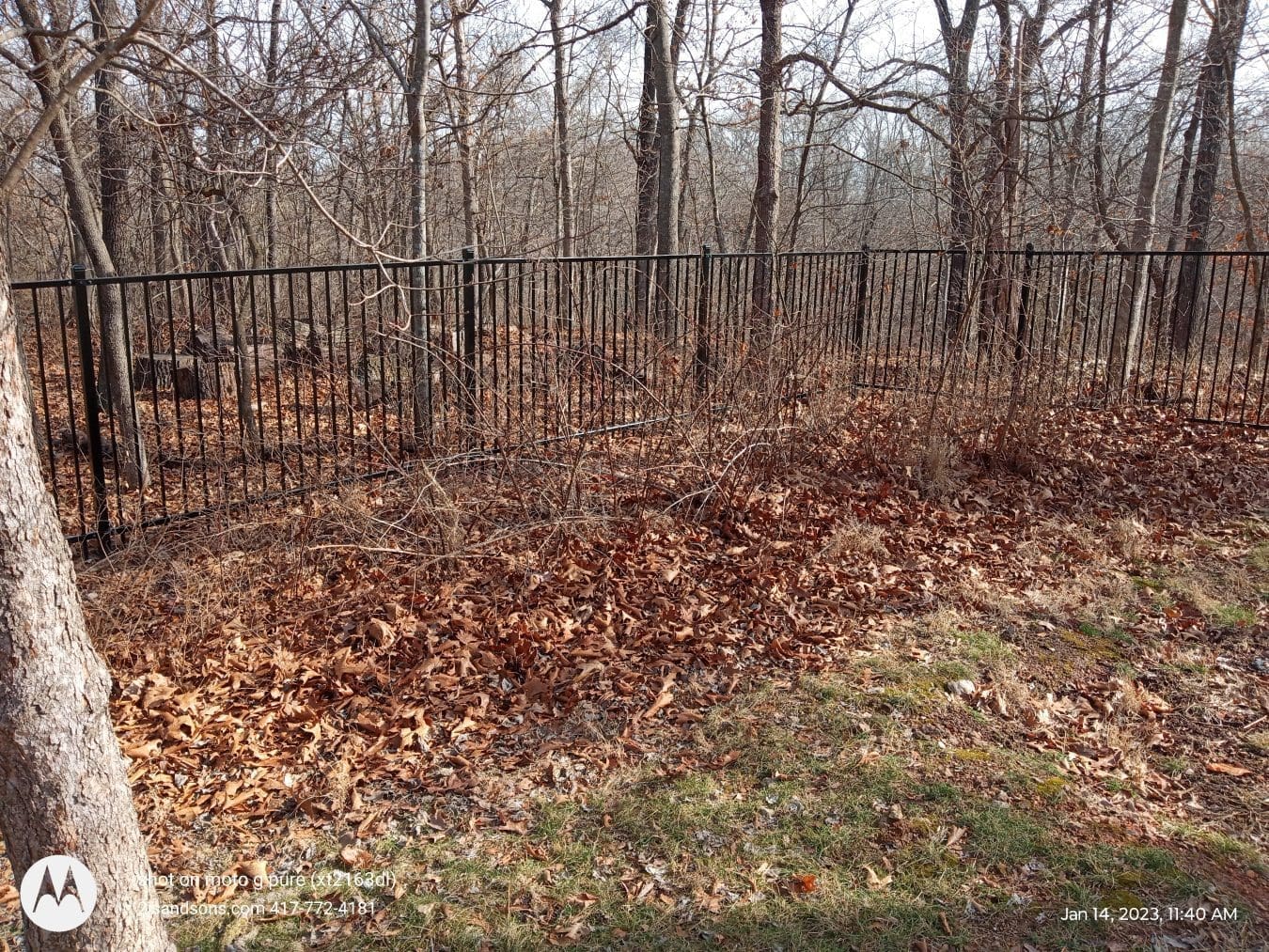 A large pile of leaves by a fence ready for haul-off.